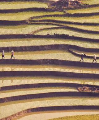 Weg von den Massen in Ha Giang